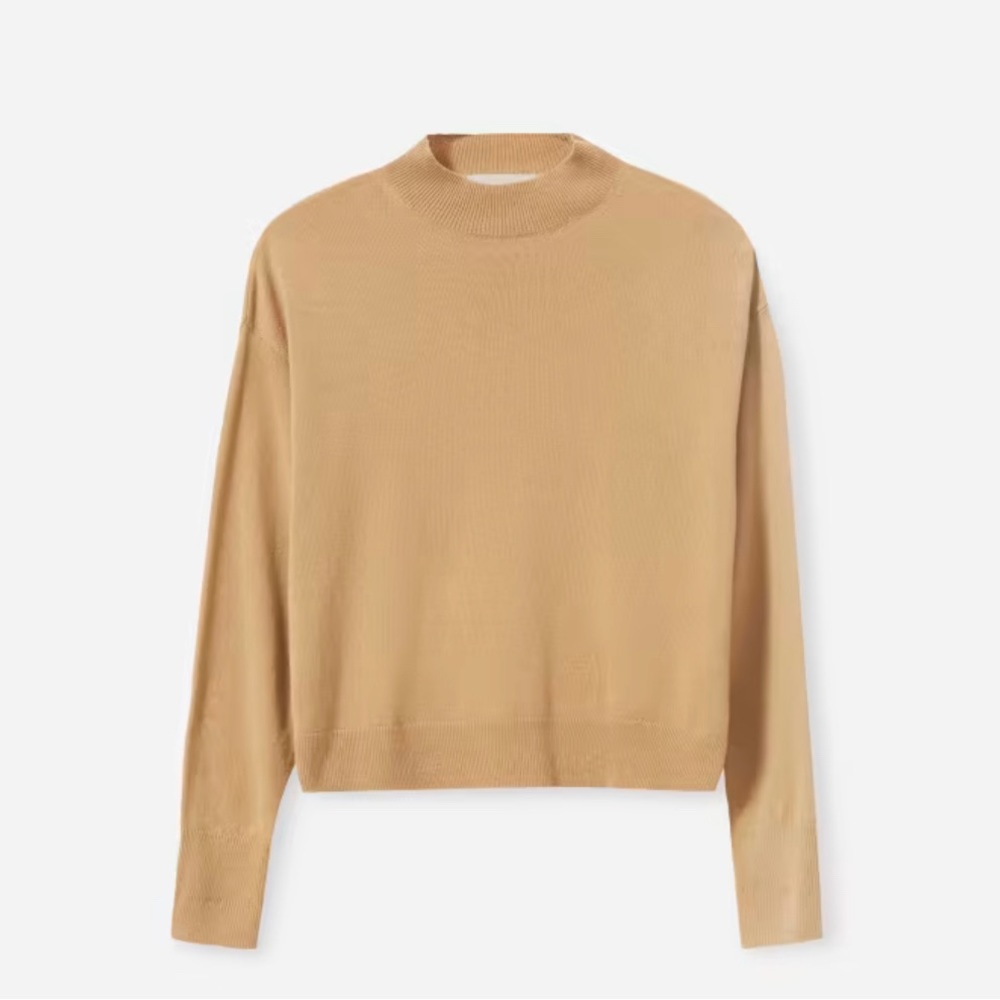 Everlane Cashmere Mockneck Sweater